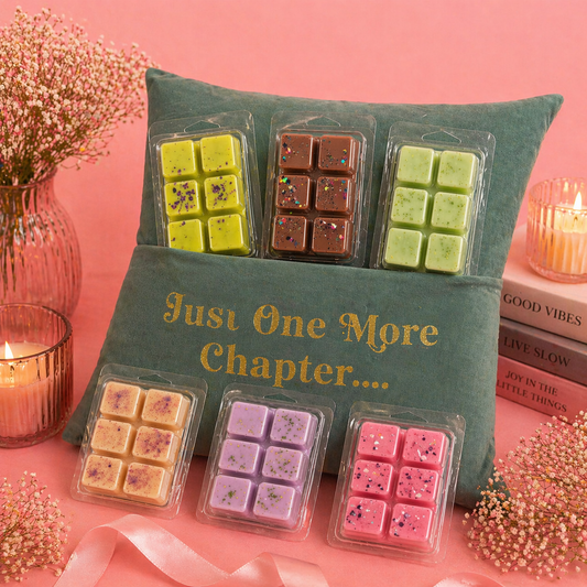 ☁️ Cojín “JUST ONE MORE CHAPTER” + 480 gr melts